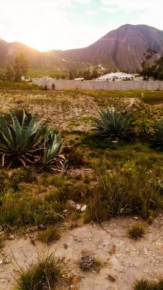 TERRENO DISPONIBLE MITAD DEL MUNDO