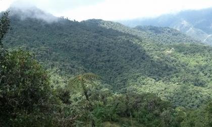 Vendo barato 198 hectáreas de bosque nublado cerca a Quito