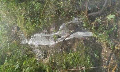 Vendo barato 198 hectáreas de bosque nublado cerca a Quito