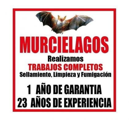 PLAGAS (CUCARACHAS, MURCIELAGOS, TERMITAS)