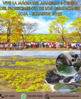 TOUR FLORECIMIENTO DE LOS GUAYACANES ENERO 2022