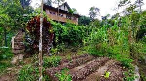 Finca Ecológica Auto-Sostenible Comunitaria en La Amazonía Ecuatoriana, Loreto, Orellana, Ecuador