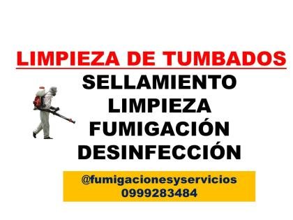 ELIMINACION DE MURCIELAGOS (LIMPIEZA DE TUMBADOS)