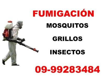 PLAGAS EN SU HOGAR / INSECTOS