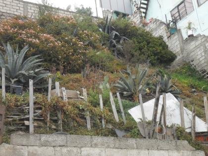 SE VENDE UNA PROPIEDAD EN LA CIUDAD DE AMBATO – TUNGURAHUA; EN EL MEJOR Y MÁS HERMOSO SITIO DE LA CIUDAD DE AMBATO, SECTOR MIRAFLORES, SON 563M2 CON C