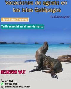 TOUR GALÁPAGOS SANTA CRUZ E ISABELLA, VACACIONES DE AGOSTO