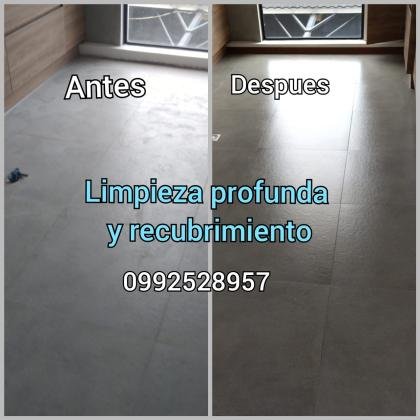 limpieza de alfombras