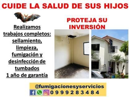PROTEJA SU HOGAR (DESINFECCION DE TUMBADOS)