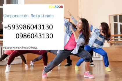 Instructores de bailes profesionales en Duran Guayaquil Samborondon Guayas Ecuador 2022