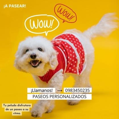 Paseamos a tu peludo