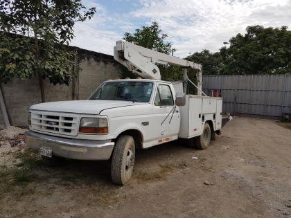 Alquiler carro canasta