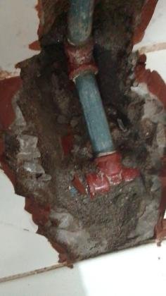 Cero nueve siete nueve cero tres nueve cinco cero uno plomero norte de Quito