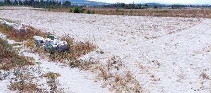 vendo lotes de terrenos de 500m2 en Malchinguí