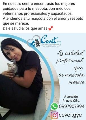 Veterinario a Domicilio Guayaquil