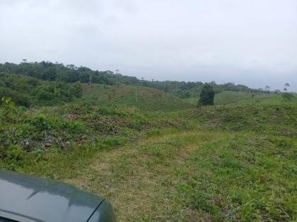 FINCAS DE 120 Y 140 HA