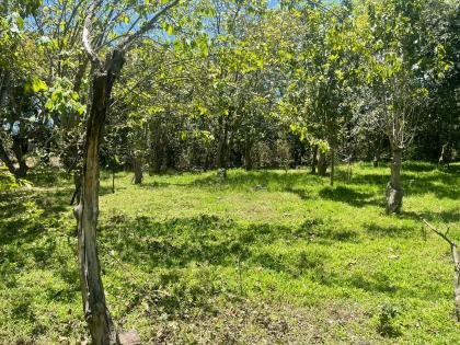 Lote en Yaruqui cerca del AEROPUERTO de oportunidad