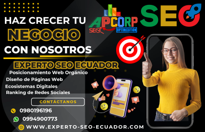 Experto SEO Ecuador Agencia de Posicionamiento Web