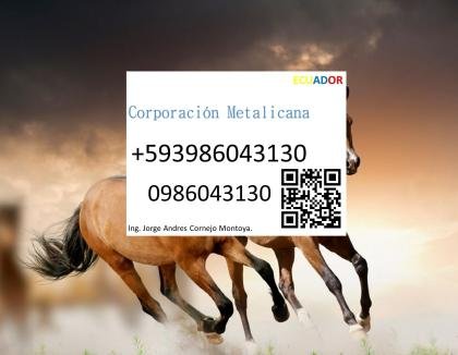 Servicio de construcción de hipódromos para carrera de caballo veterinaria equinos en Guayas Ecuador