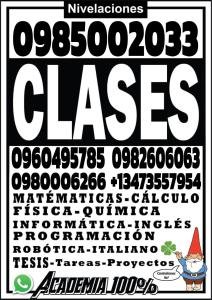 ACADEMIA DE NIVELACION 100%