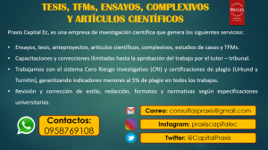 Asesores de tesis, ensayos y artículos (papers publicables)