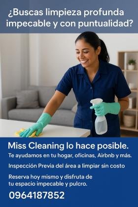 Expertos en limpieza y mantenimiento profesional de casas departamentos oficinas y mas