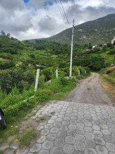 ERRENO PRODUCTIVO RURAL - PUELLARO - SECTOR ALCHIPICHÍ 3347m2 a $37 DOLARES EL M2 (NEGOCIABLES)